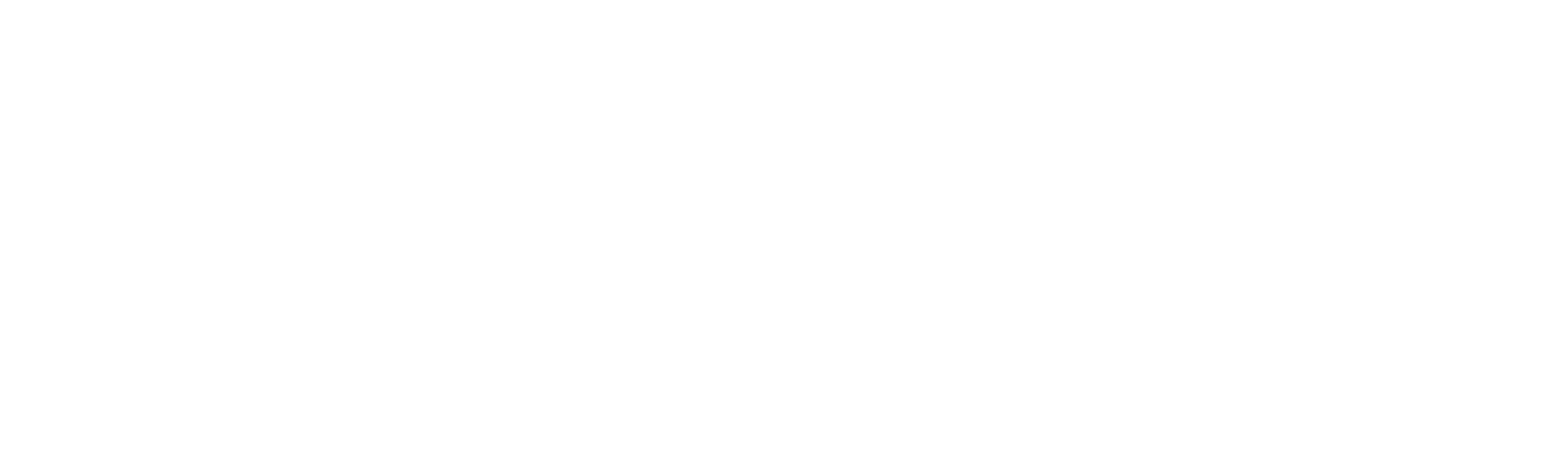 Softaliza